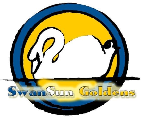 Swansun Golden Retrievers